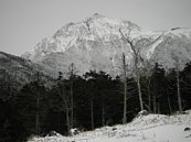 imgp008.jpg